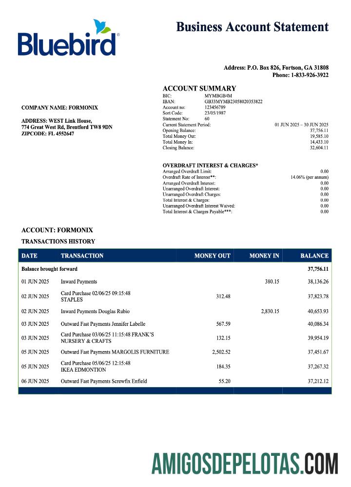 Realista USA Bluebird Firm modelo de extrato de conta Word e PDF